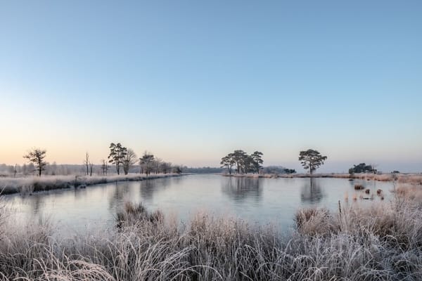Stikstof en de bouw: waarom nieuwbouw soms stokt